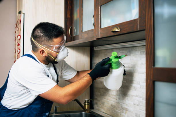 Best Pest Control Near Me  in New Orleans, LA