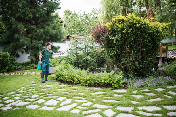 Best Wasp Removal Services  in New Orleans, LA