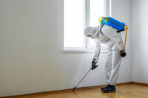 Best Cockroach Control Services  in New Orleans, LA