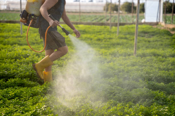 Best Pest Control for Restaurants  in New Orleans, LA