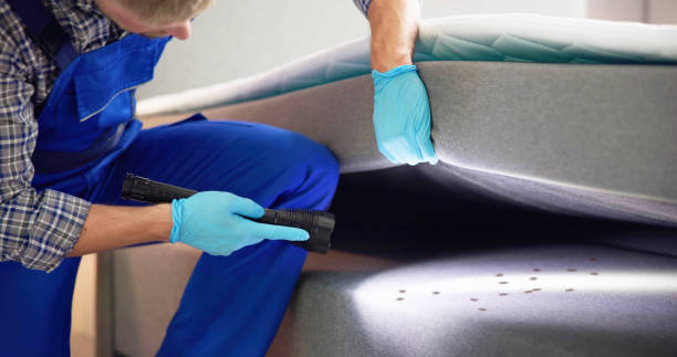 Best Flea Control Services  in New Orleans, LA
