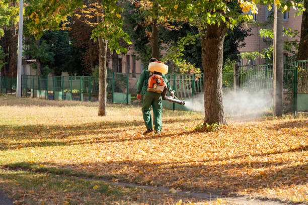  New Orleans, LA Pest Control Pros