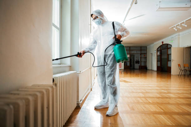 Best Affordable Pest Control Services  in New Orleans, LA