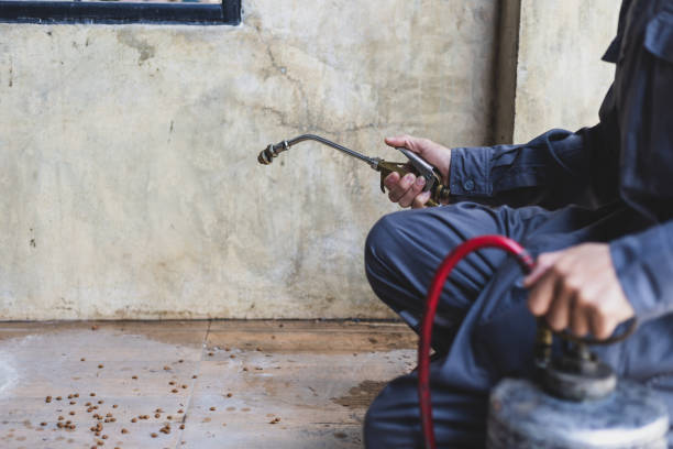 Best Mosquito Control Services  in New Orleans, LA